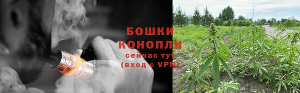 ПСИЛОЦИБИНОВЫЕ ГРИБЫ Новозыбков