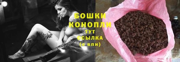 индика Нефтегорск