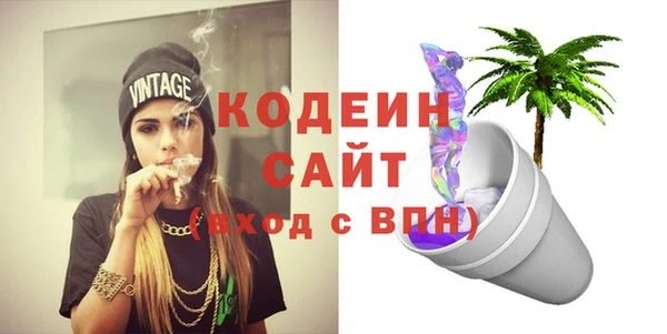 ПСИЛОЦИБИНОВЫЕ ГРИБЫ Новозыбков