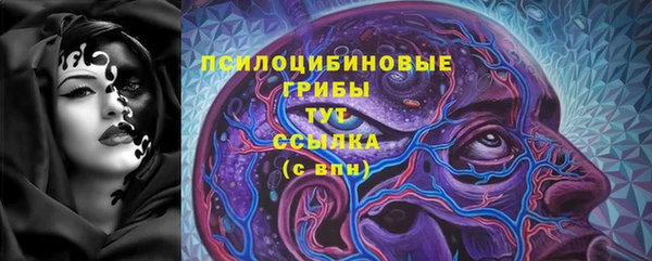 ПСИЛОЦИБИНОВЫЕ ГРИБЫ Новозыбков