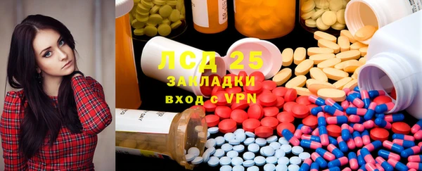 ПСИЛОЦИБИНОВЫЕ ГРИБЫ Новозыбков