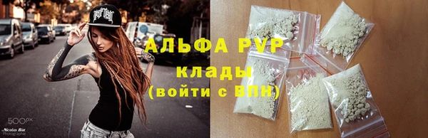 ПСИЛОЦИБИНОВЫЕ ГРИБЫ Новозыбков