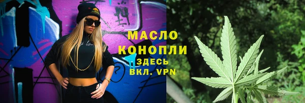 ПСИЛОЦИБИНОВЫЕ ГРИБЫ Новозыбков