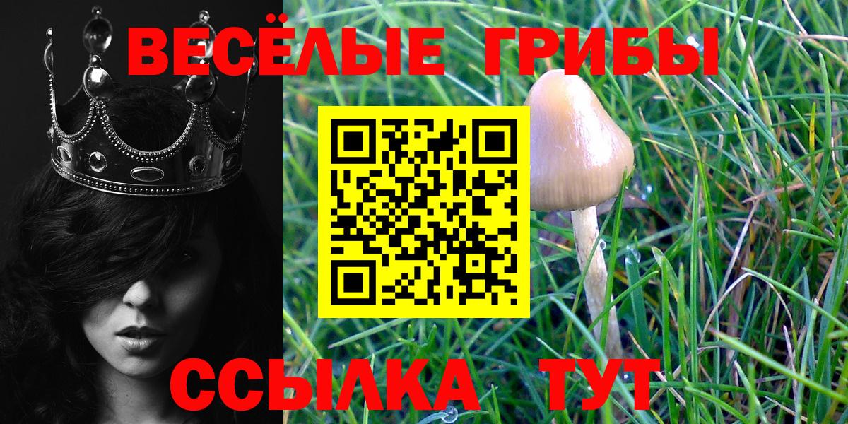 Марихуана  Бошки Шишки  Моздок  МЕФ кристаллы  ГАШИШ  Вход с VPN 
