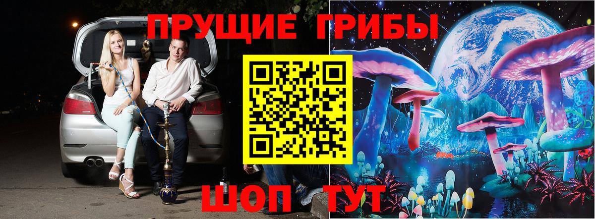 Псилоцибиновые грибы MAGIC MUSHROOMS  Вход с VPN  Моздок  Псилоцибиновые грибы мицелий 
